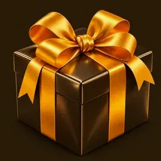 Wrapped gift box — Casiny